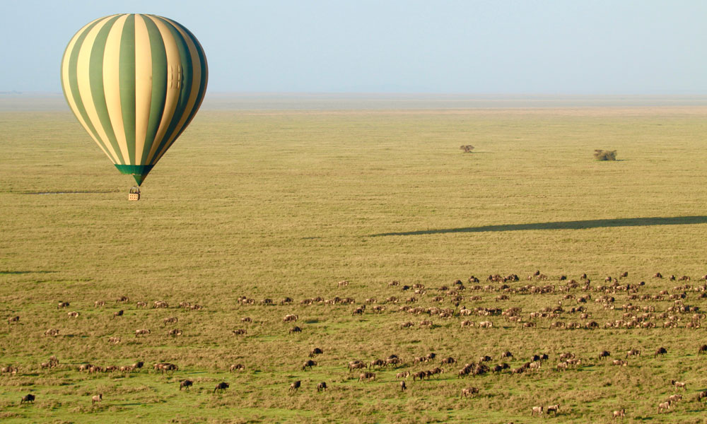 Safari after Kilimanjaro Balllooon Flight On Safari