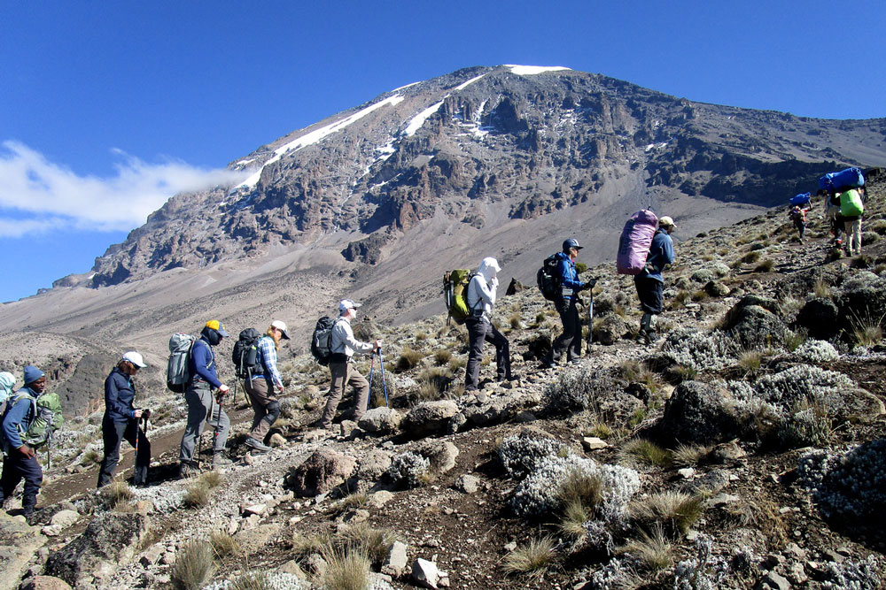 A group climbing Kilimanjaro with a view of Kibo