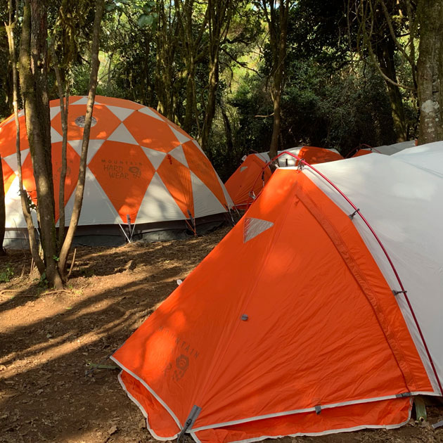 Forest camp on the Lemosho route Mount Kilimanjaro