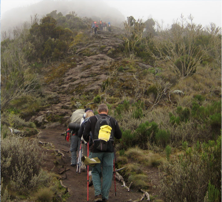 Mount Kilimanjaro Climate Zones Heath